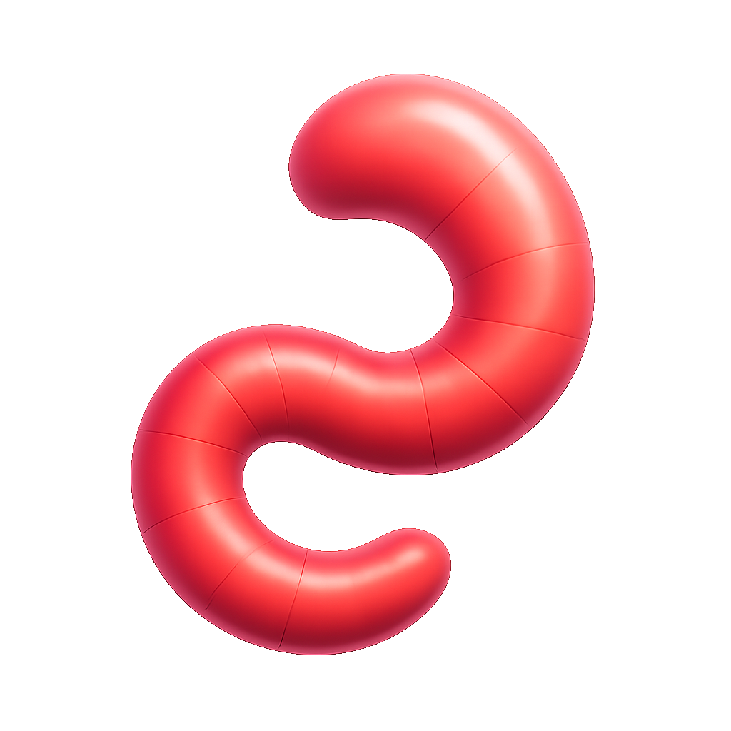 giun đất earthworm