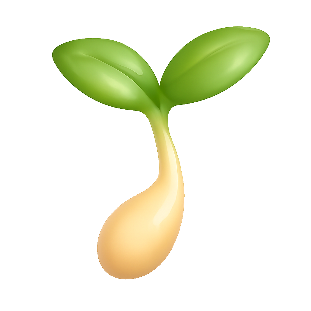 豆芽 giá đỗ