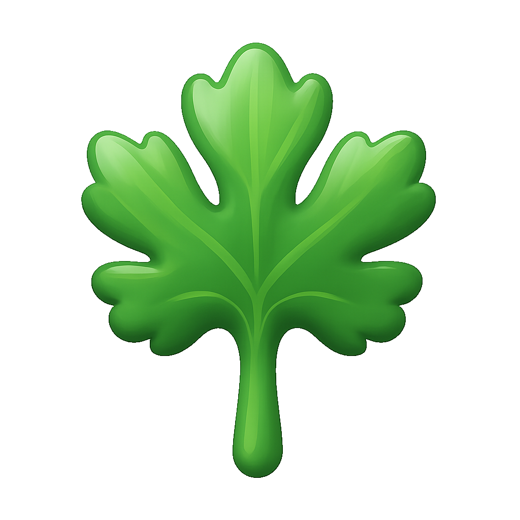 ngò cilantro