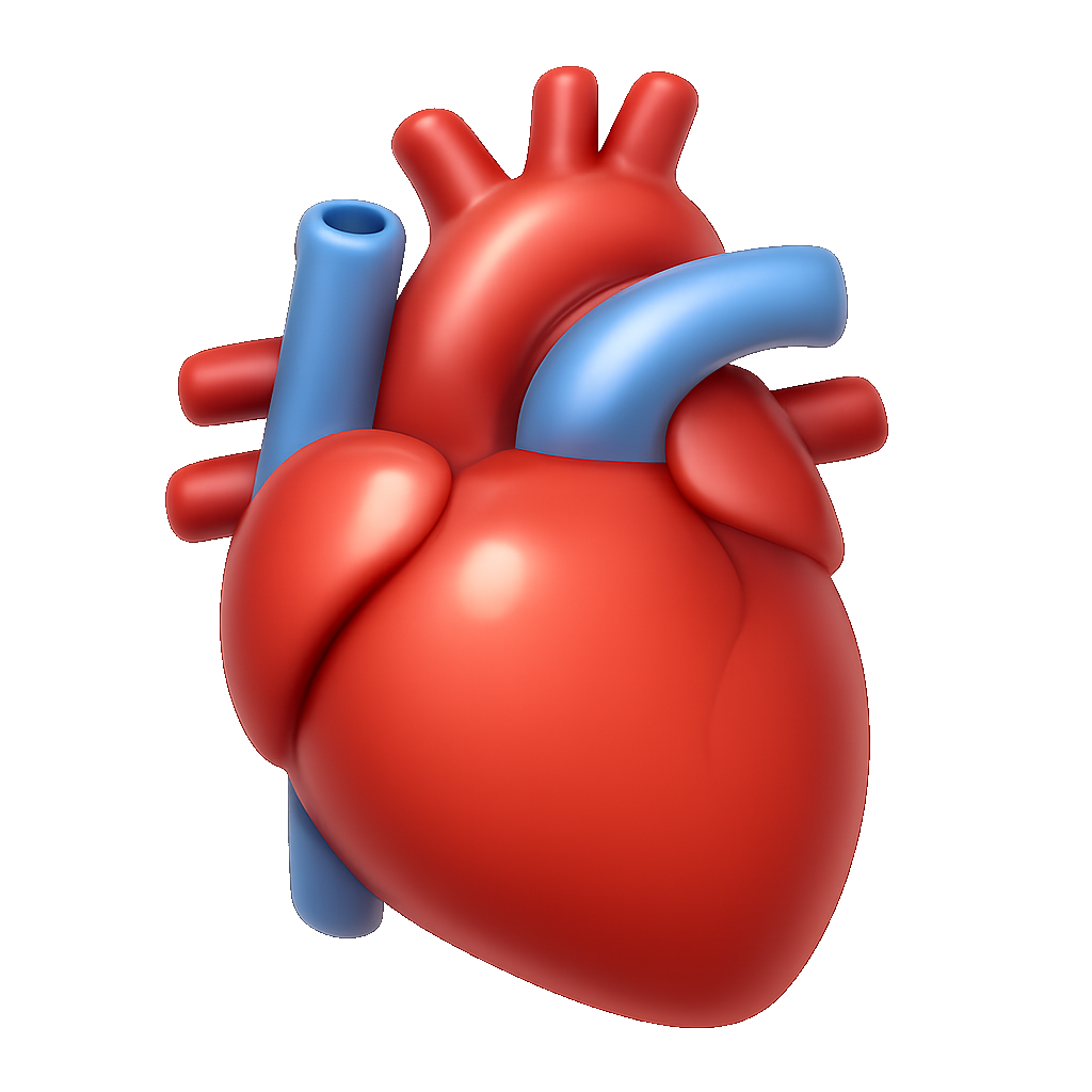 tim heart