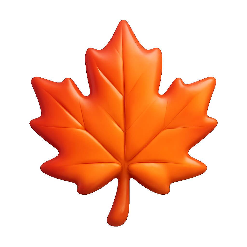 cây phong maple tree