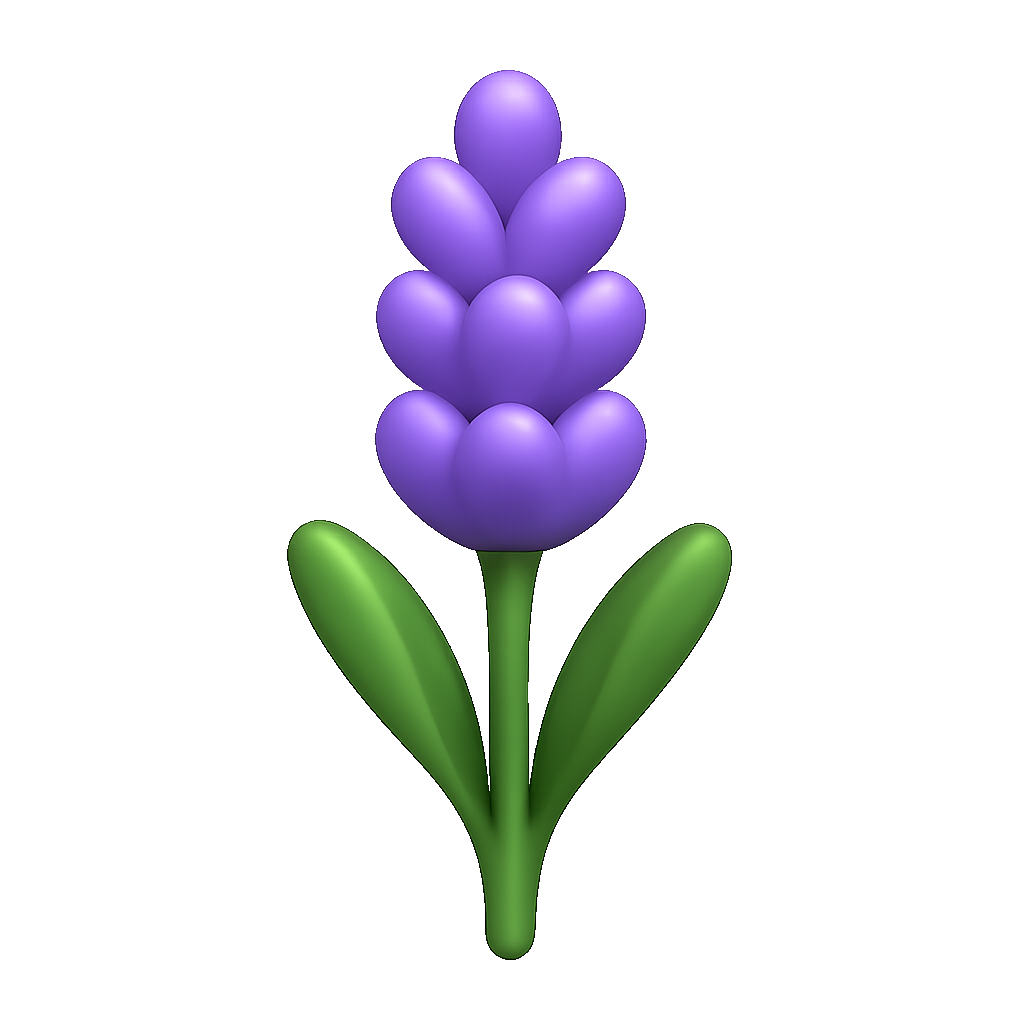 薰衣草 hoa oải hương