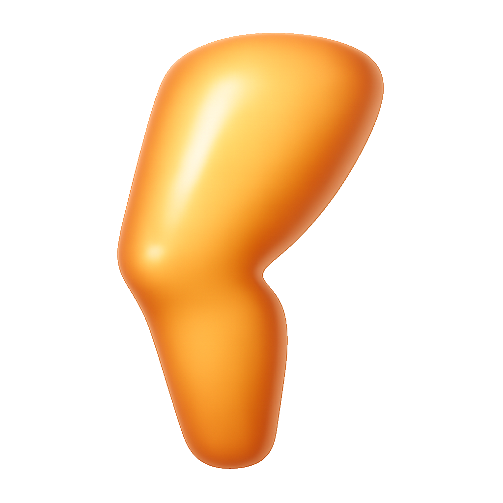 大腿 đùi