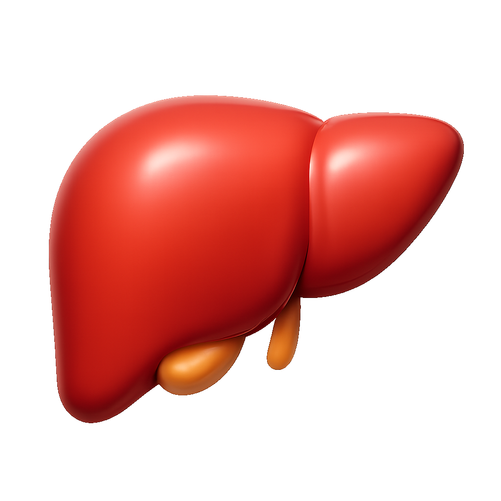 gan liver