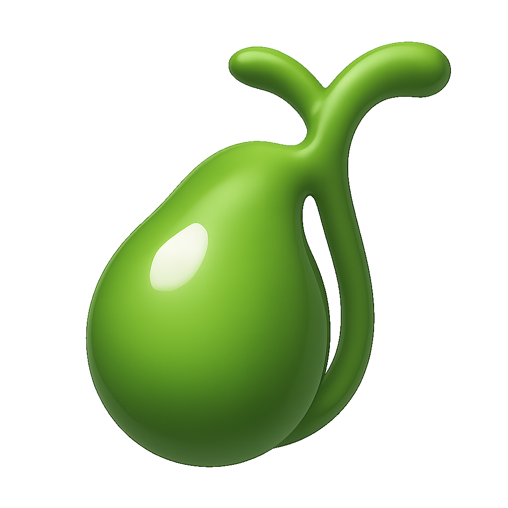 túi mật gallbladder