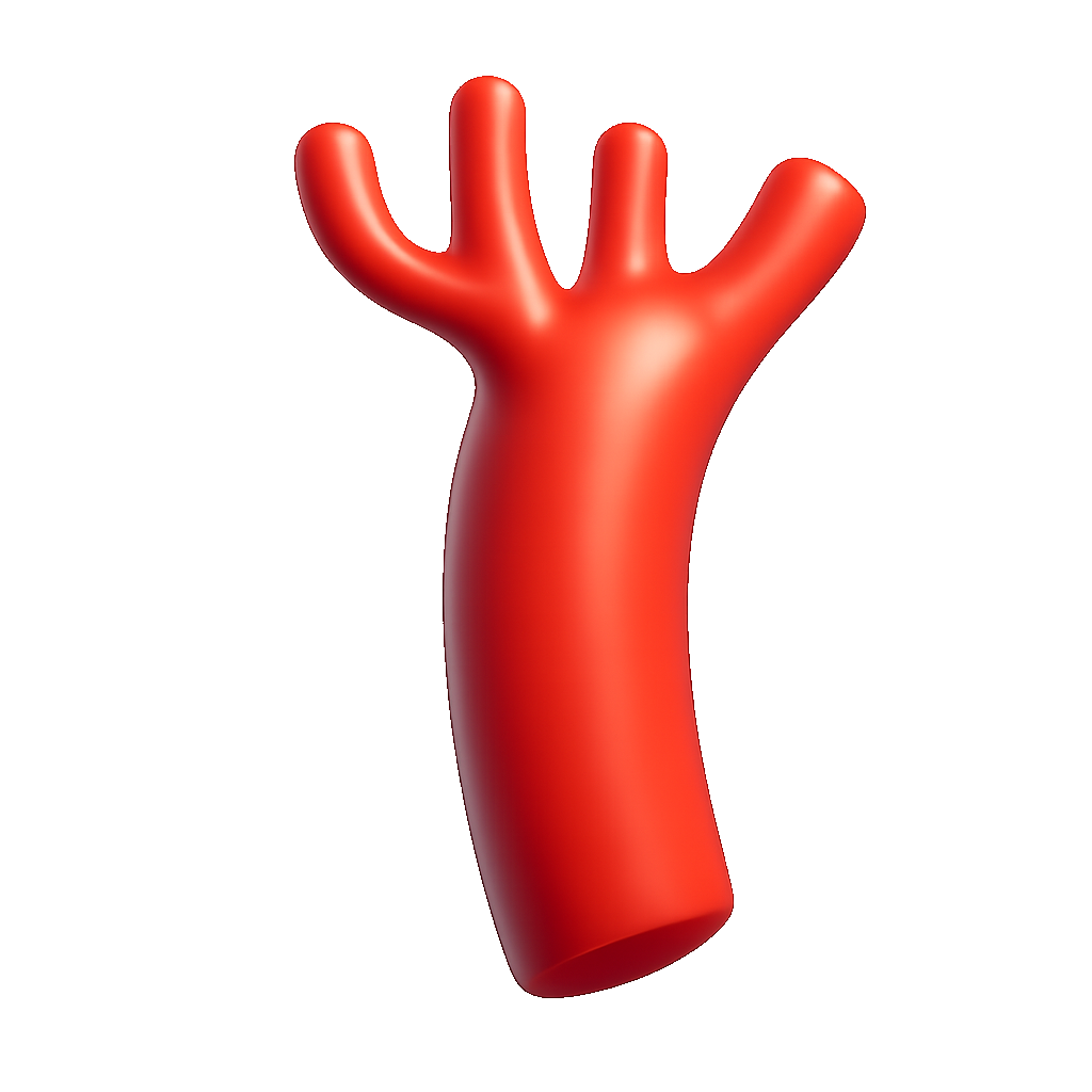 động mạch artery