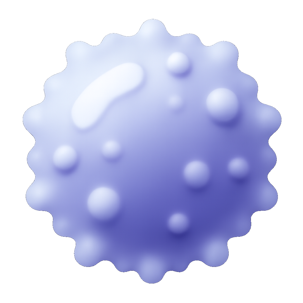 bạch cầu white blood cell