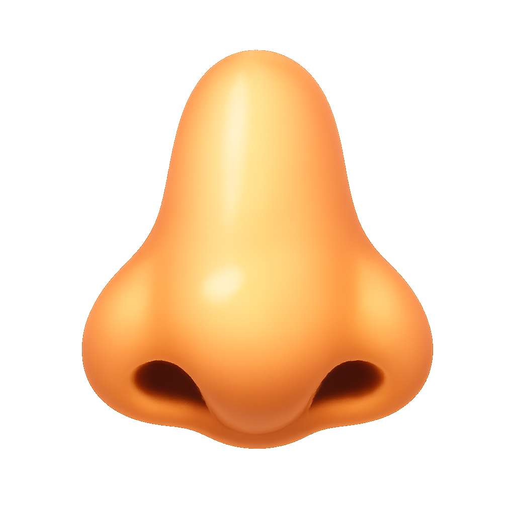 lỗ mũi nostril