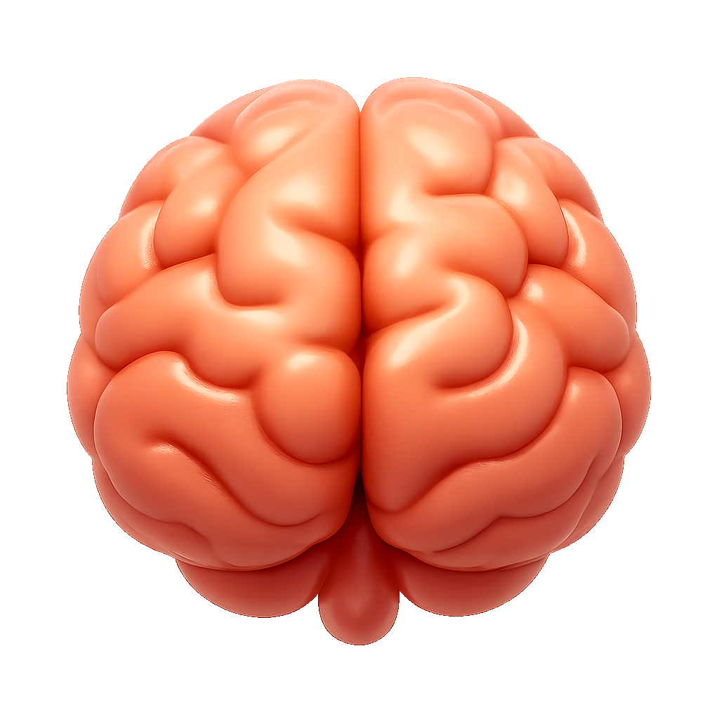 não brain
