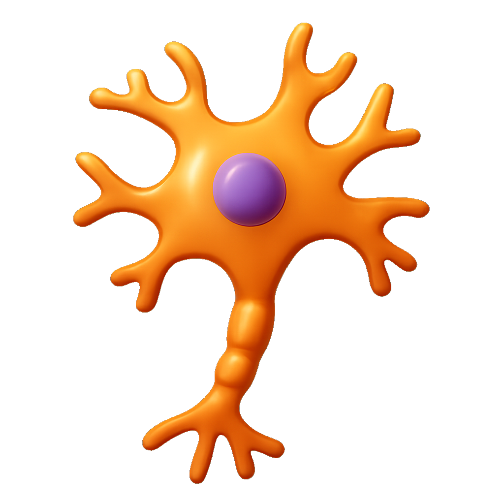 tế bào thần kinh neuron