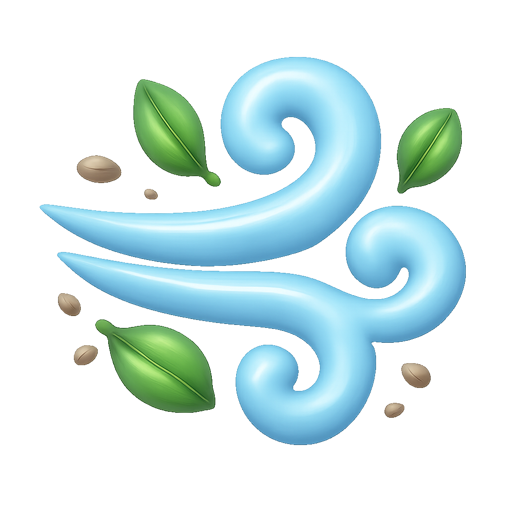cơn burst