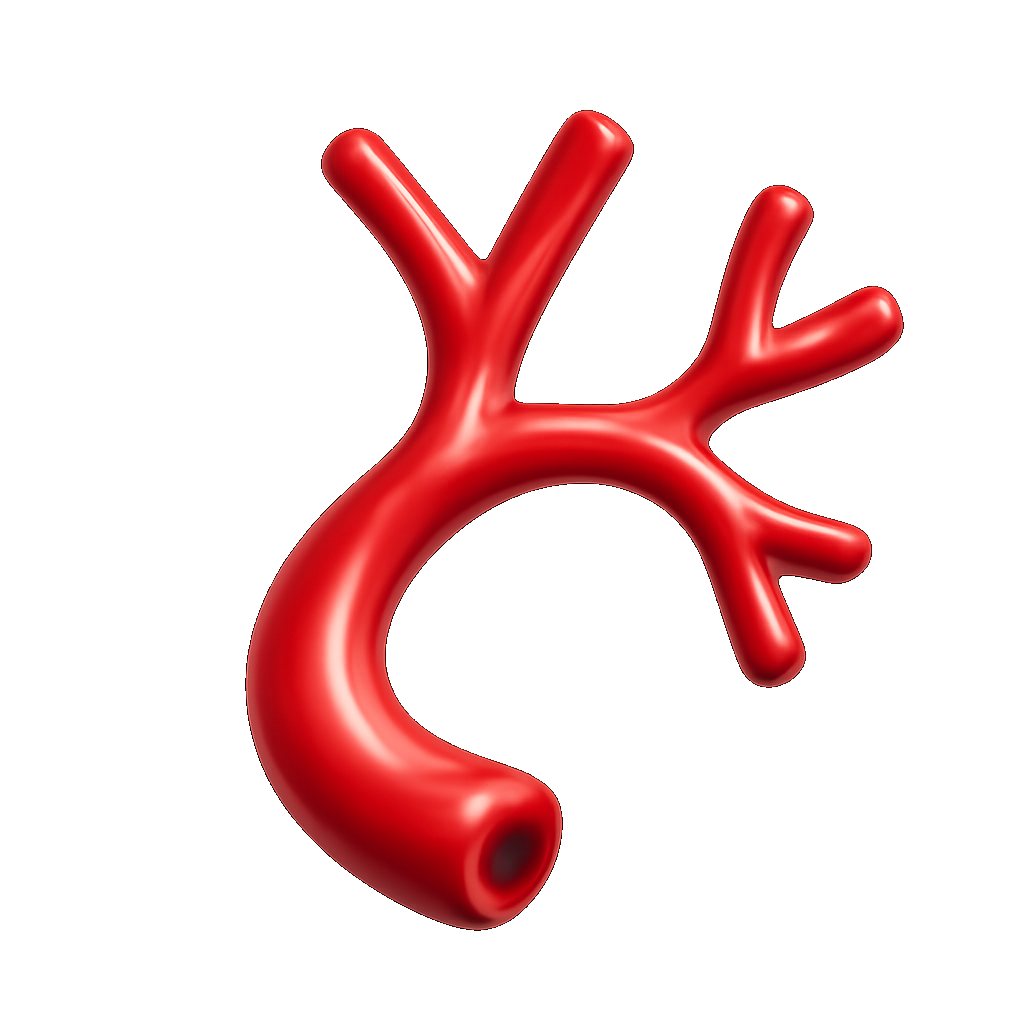 mạch máu blood vessel
