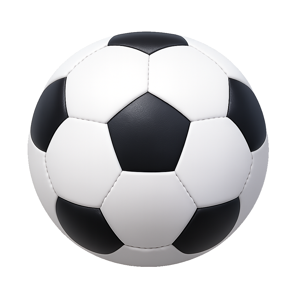 bóng da leather ball
