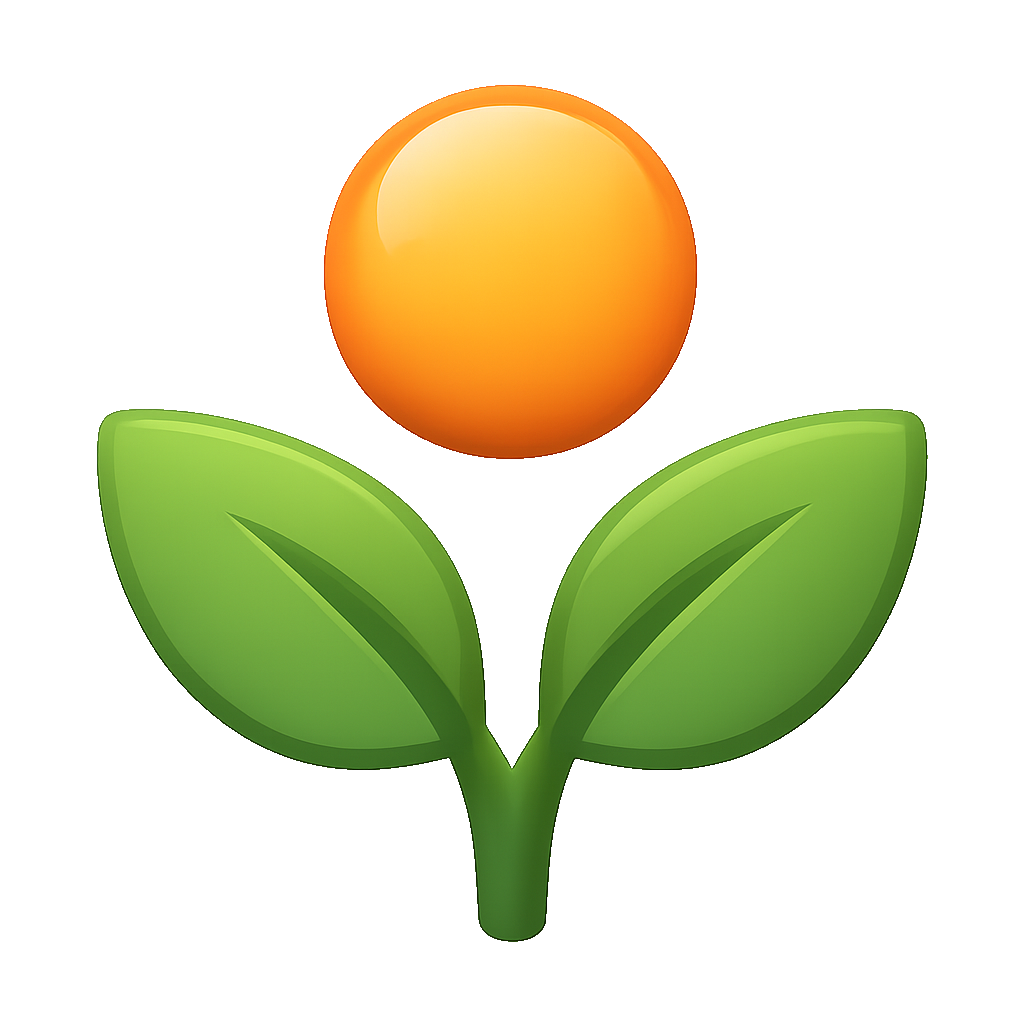 tiết khí solar term