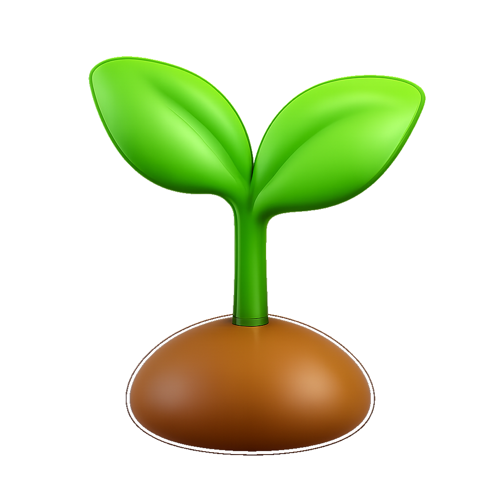 mầm sprout