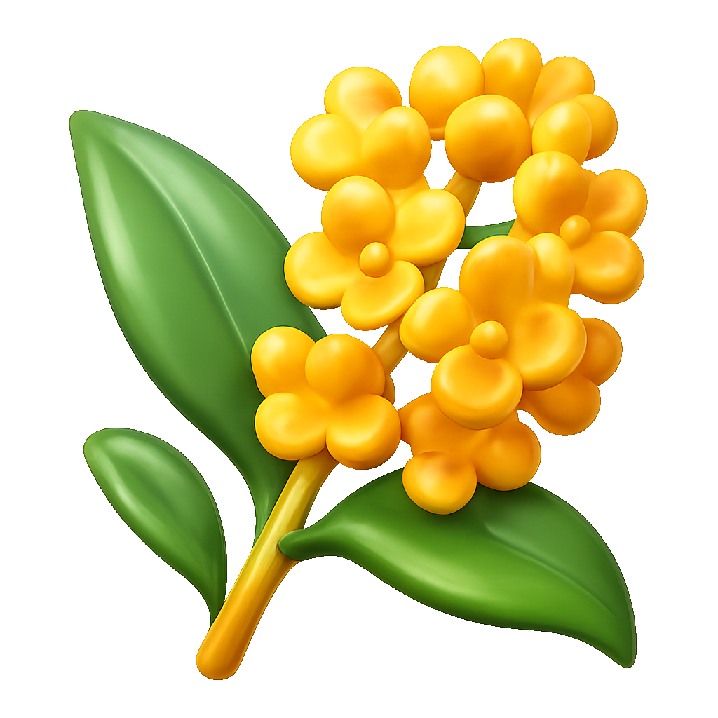 hoa quế osmanthus