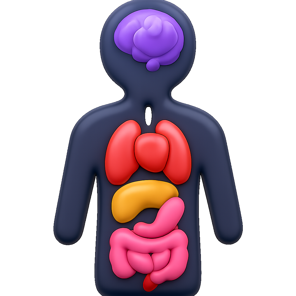 sinh lý physiology