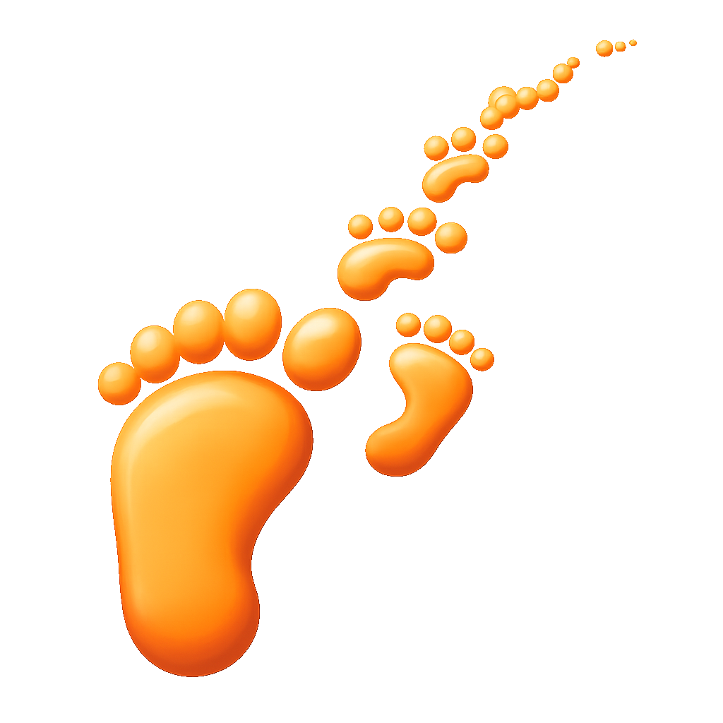 dấu chân footprint