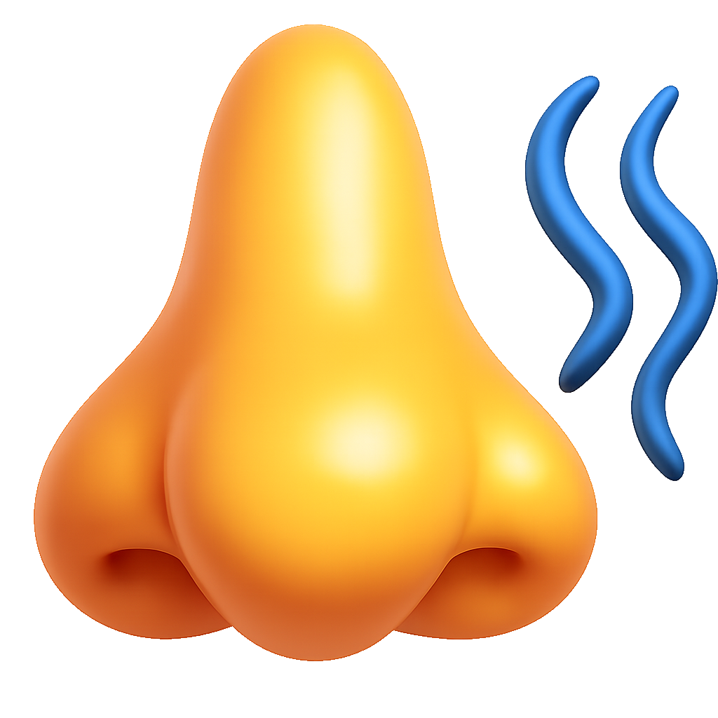 khứu giác smell
