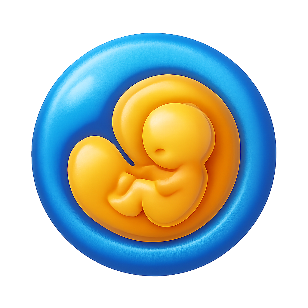 phôi thai embryo