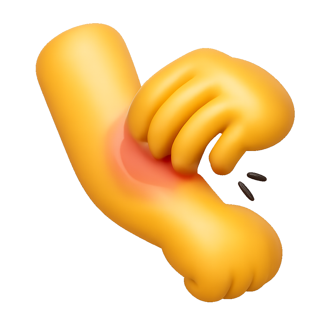 gãi scratch