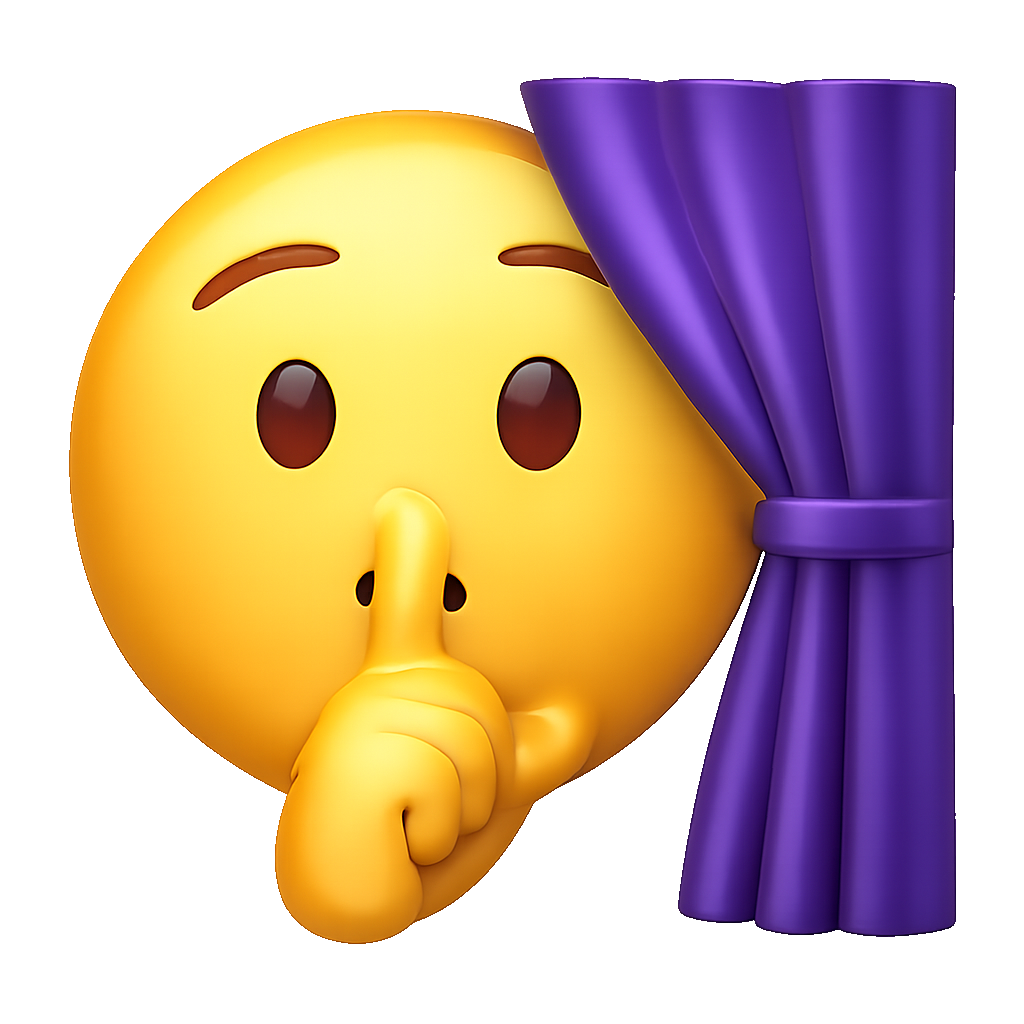 che giấu to conceal