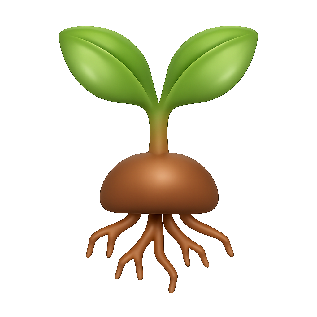 bén rễ to take root