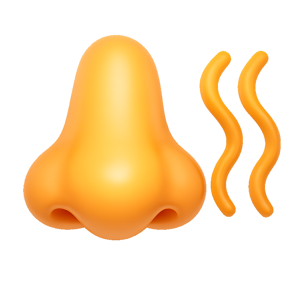 mùi smell