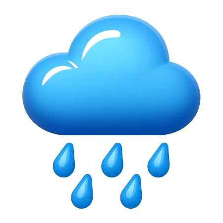 雨 mưa
