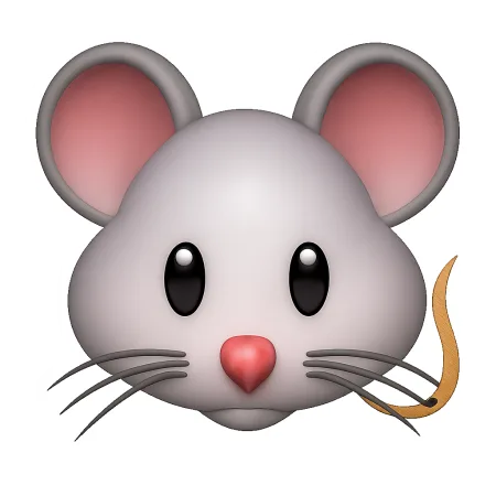 老鼠；鼠标 chuột