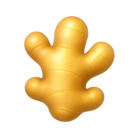 生姜 gừng