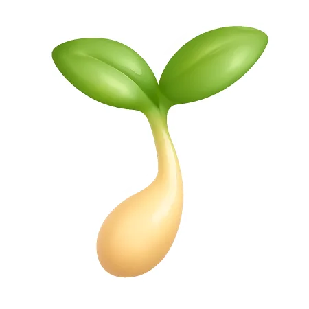 豆芽 giá đỗ