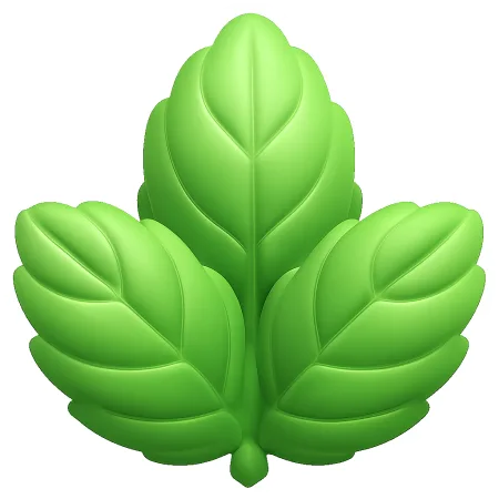 薄荷 bạc hà