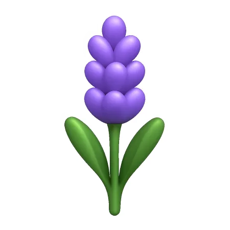 薰衣草 hoa oải hương
