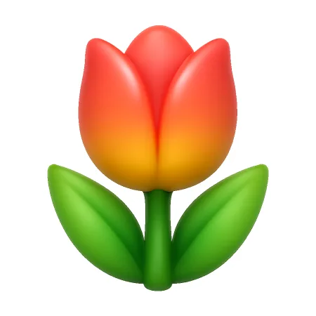郁金香 hoa tulip