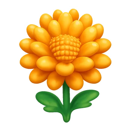 菊花 hoa cúc