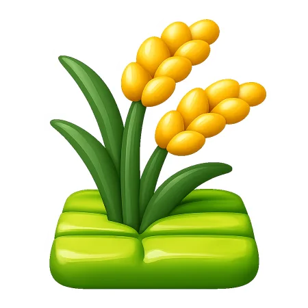 稻田 ruộng