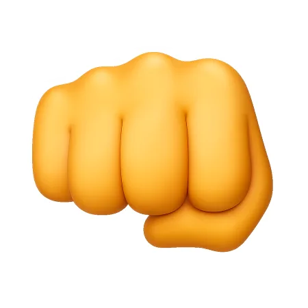 出拳 đấm