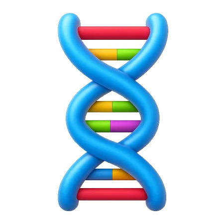 基因 gen