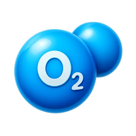 氧气 ôxy