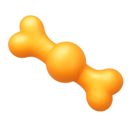 关节 khớp