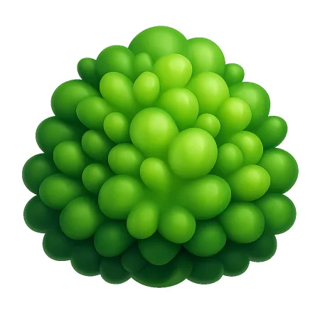 茂密 rậm rạp