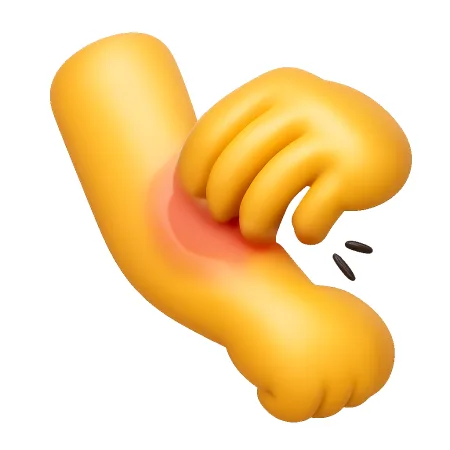挠 gãi