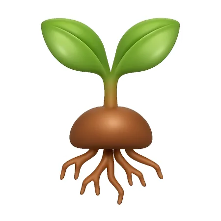 扎根 bén rễ