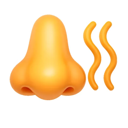 气味 mùi
