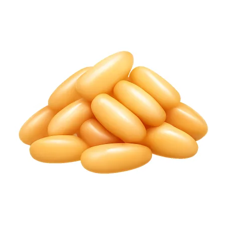 米 gạo