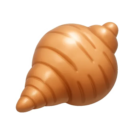 vỏ sò seashell