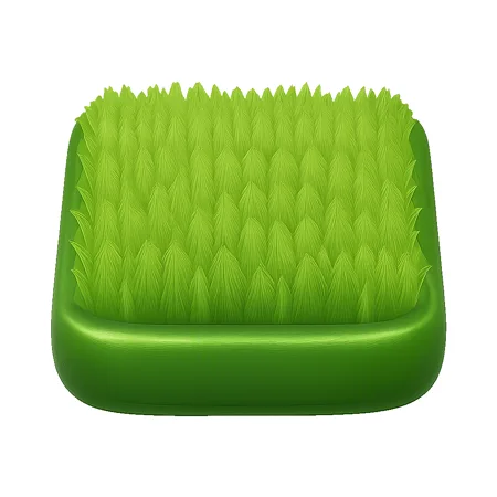 bãi cỏ lawn